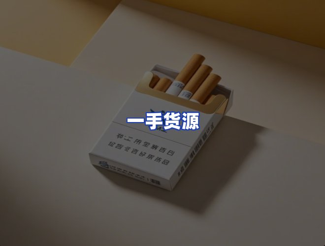 专业团队